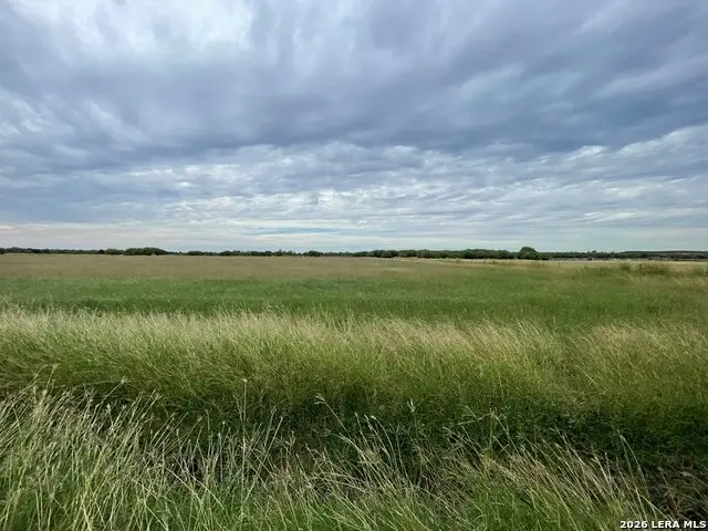 1085 Moses Rd, Quemado, TX 78877 - #3