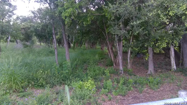 483 Oak Knoll Dr, San Antonio, TX 78228 - #1