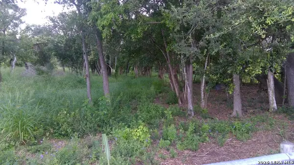 483 Oak Knoll Dr, San Antonio, TX 78228