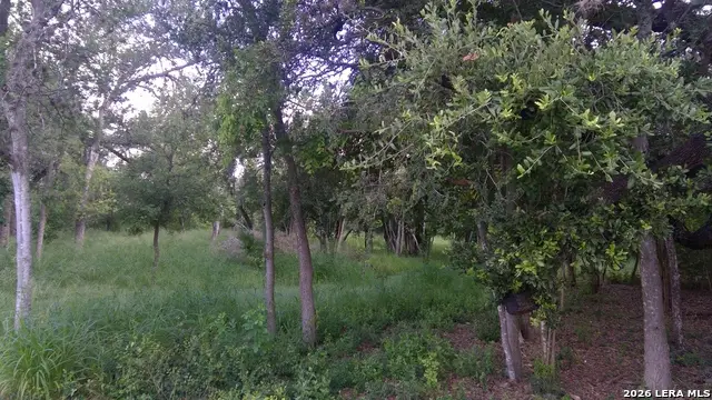 483 Oak Knoll Dr, San Antonio, TX 78228 - #3