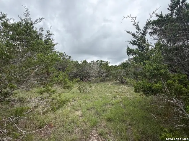 LOT 36 Cliff Dr, Spring Branch, TX 78070 - #2