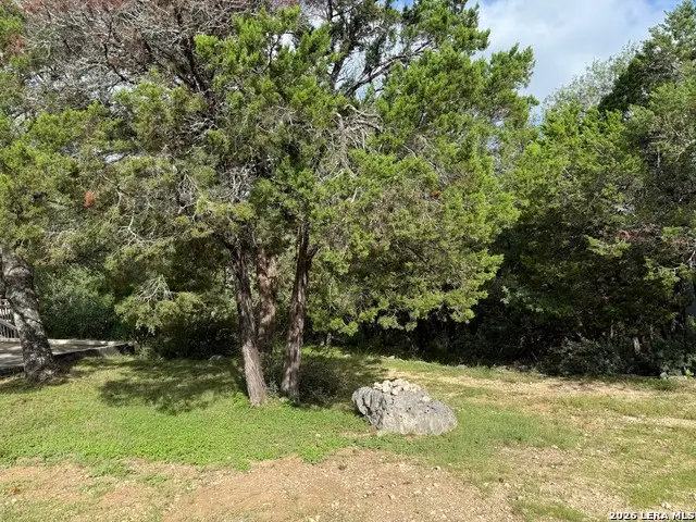 295 Nancy, Canyon Lake, TX 78133 - #1