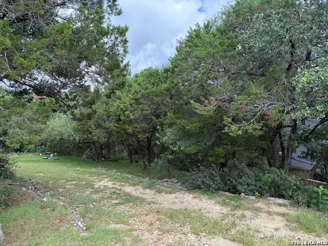 295 Nancy, Canyon Lake, TX 78133 - #3