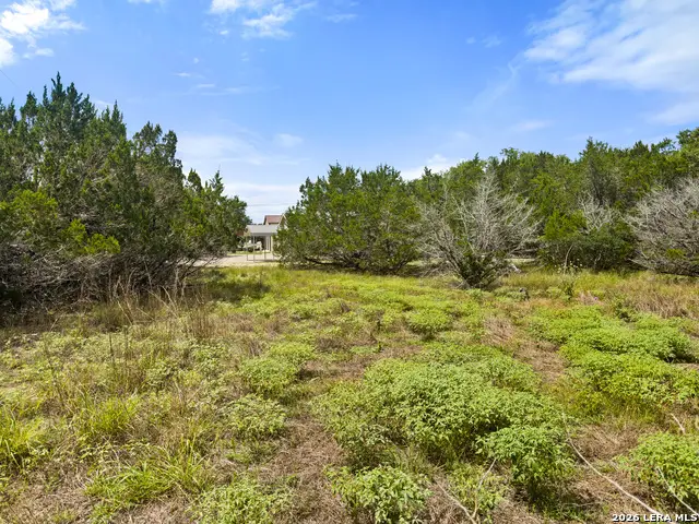 541 Henderson Drive, Spring Branch, TX 78070 - #2