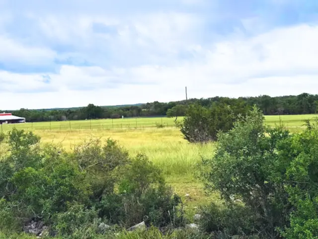 420 George Dolson, Blanco, TX 78606 - #2