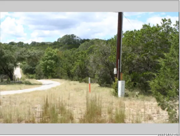 848 Fawn River Dr, Spring Branch, TX 78070 - #2