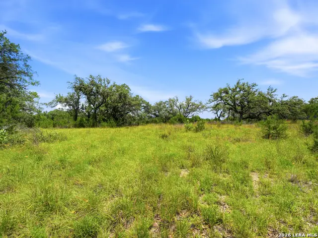 1030 Sunrise Pl, Spring Branch, TX 78070 - #2
