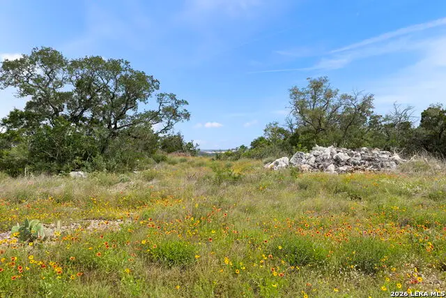 405 County Road 2744, Mico, TX 78056 - #2