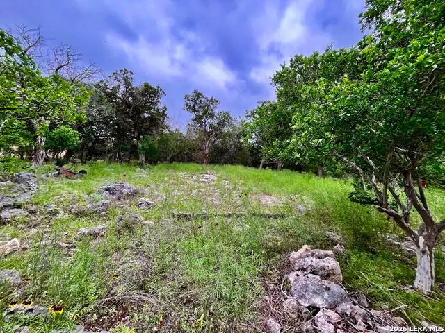 703 Mountain Creek Trail, Boerne, TX 78006 - #2
