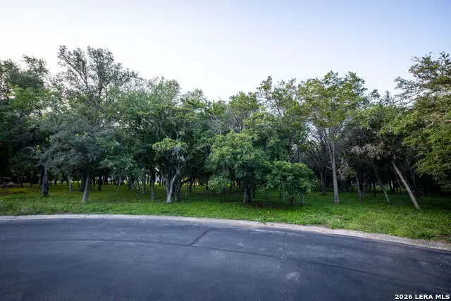 19514 Windswept Cv, Garden Ridge, TX 78266 - #2