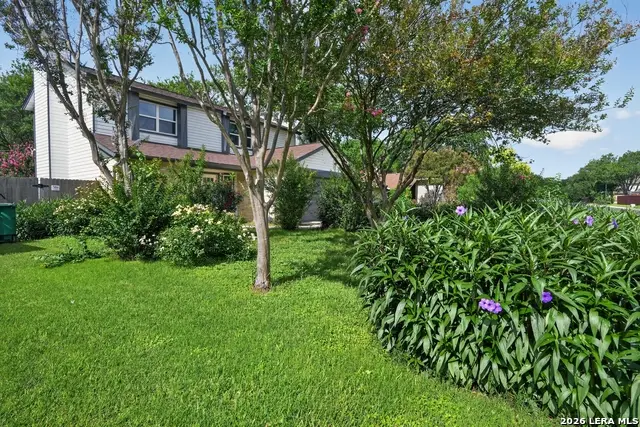 9814 Broad Forest St, San Antonio, TX 78250 - #3