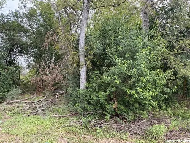 331 Bundy, San Antonio, TX 78220 - #1