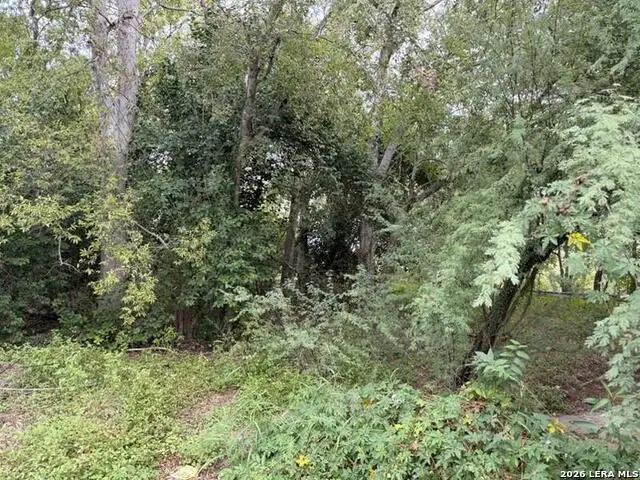 331 Bundy, San Antonio, TX 78220 - #2