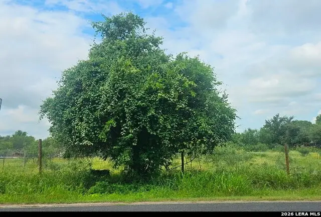 13808 LOT 2 Greenwood Rd, Atascosa, TX 78002 - #1