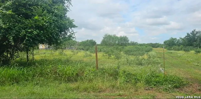 13808 LOT 2 Greenwood Rd, Atascosa, TX 78002 - #3