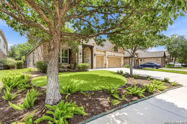 18611 Golden Maize, San Antonio, TX 78258 - #3