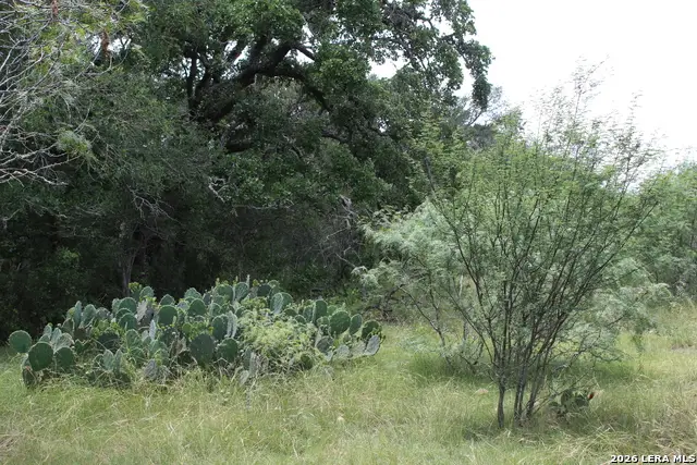 TBD Fm 3353, Seguin, TX 78155 - #1