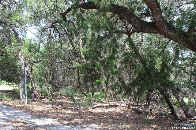 TBD Colleen, Canyon Lake, TX 78133 - #3