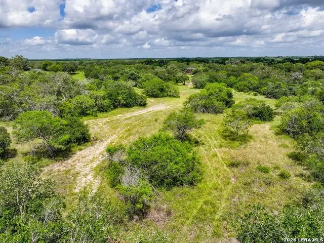 237 County Road 393, Runge, TX 78151 - #2