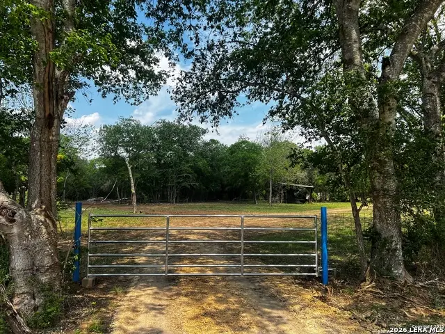 304 County Road 6611, Devine, TX 78016 - #3
