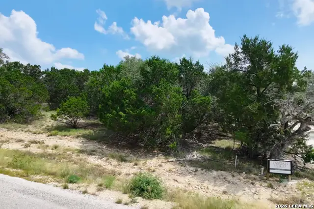 295 Restless Wind, Spring Branch, TX 78070 - #1