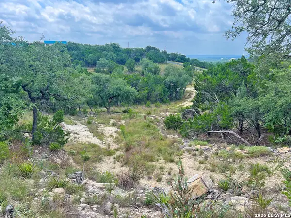 119 Champion Way, Spring Branch, TX 78070