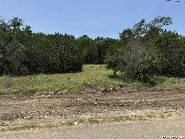 232 High Point Cir, Spring Branch, TX 78070 - #1