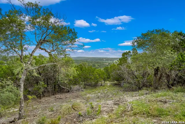 335 Shepherds Ranch, Bulverde, TX 78163 - #2