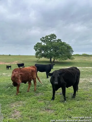 TBD (TR 5) W Gates Valley Rd, Poteet, TX 78065 - #3