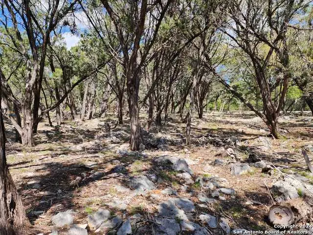 LOT 19 Forest Lake Dr, Spring Branch, TX 78070 - #2