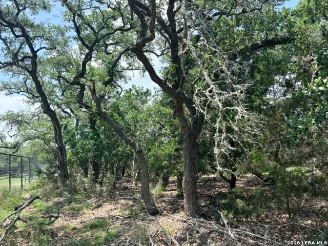 128 Coneflower Dr, Spring Branch, TX 78070 - #1