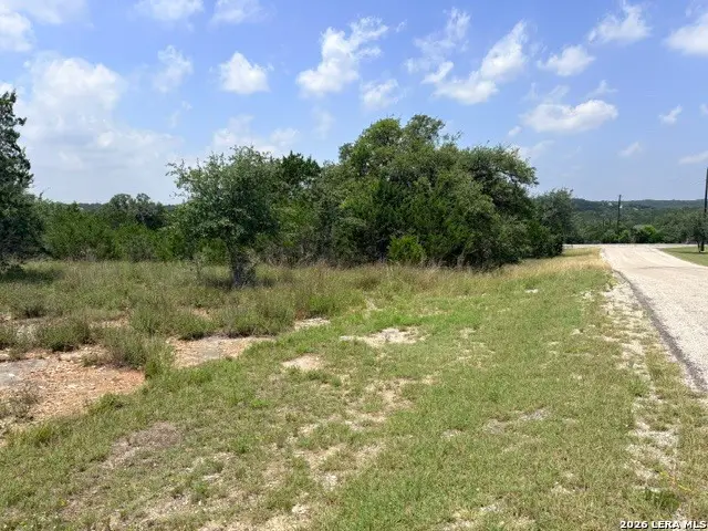 128 Coneflower Dr, Spring Branch, TX 78070 - #2