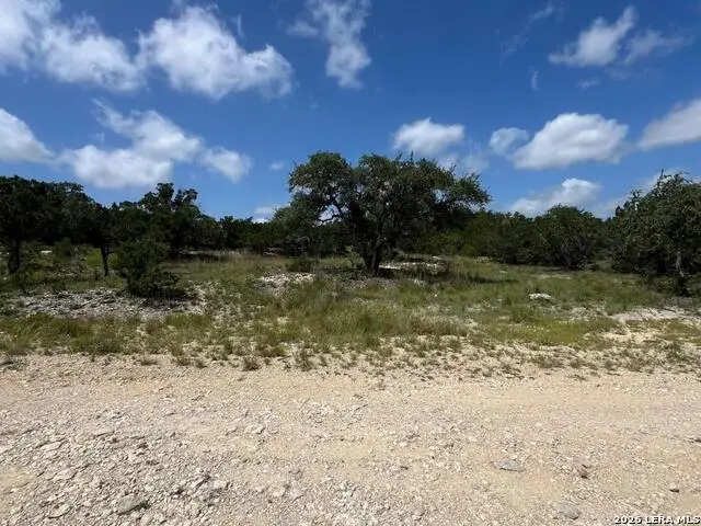 1188 Cliff Dr, Spring Branch, TX 78070 - #3
