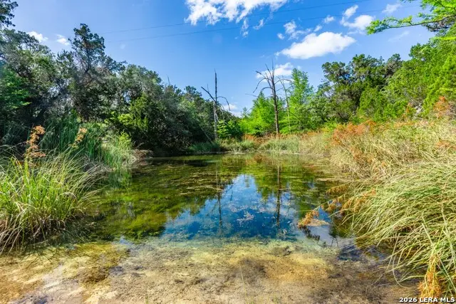 600 Evans Creek Road, Vanderpool, TX 78885 - #1
