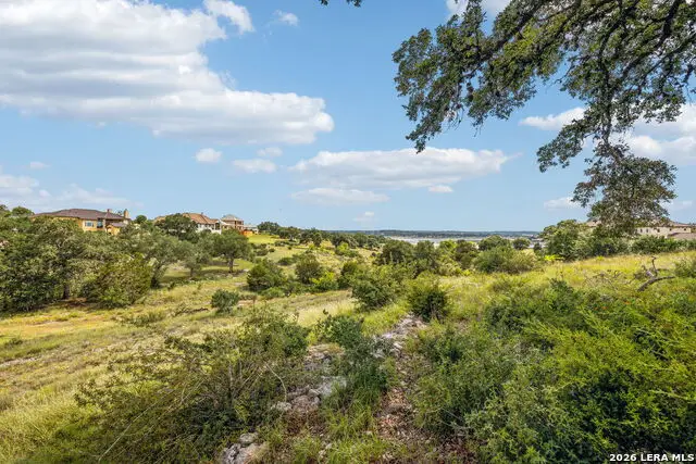 155 Obscure Way, Spring Branch, TX 78070 - #3