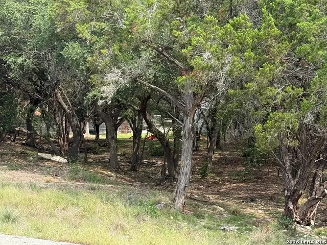 1199 Cedar Crest Dr, Canyon Lake, TX 78133 - #2