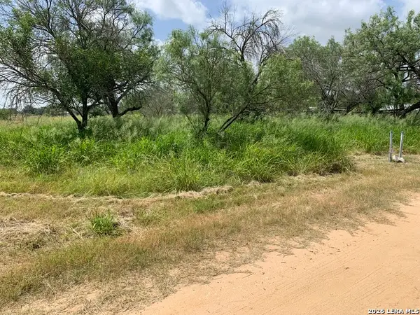 319 Karen Kourt, Devine, TX 78016