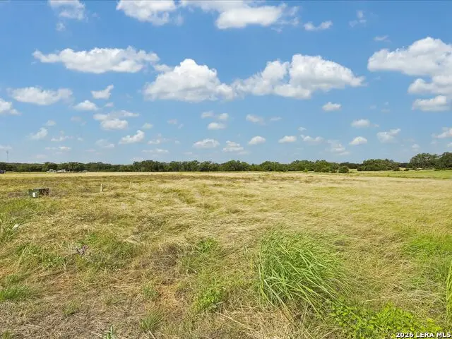 733 Annabelle Avenue, Bulverde, TX 78163 - #3