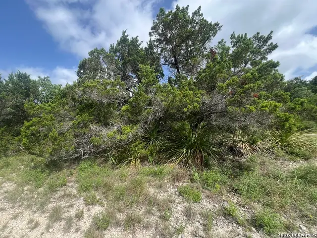 268 Scenic Hills Dr, Canyon Lake, TX 78133 - #1