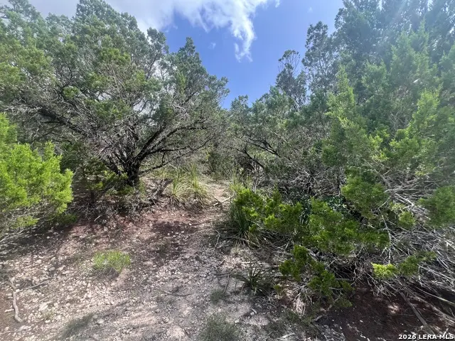 268 Scenic Hills Dr, Canyon Lake, TX 78133 - #2