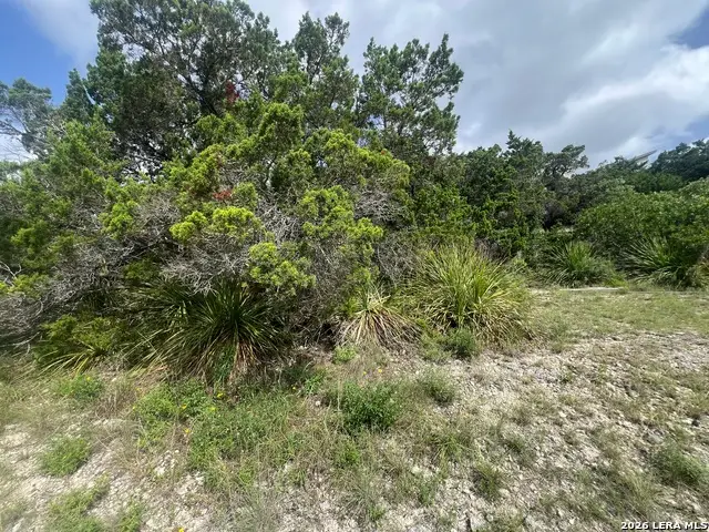 268 Scenic Hills Dr, Canyon Lake, TX 78133 - #3