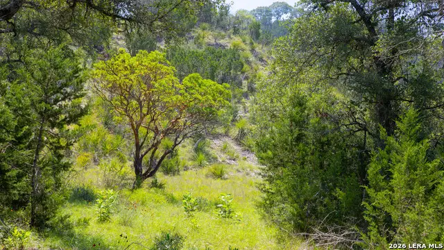 000 Blackbuck Trail, Pipe Creek, TX 78063 - #2