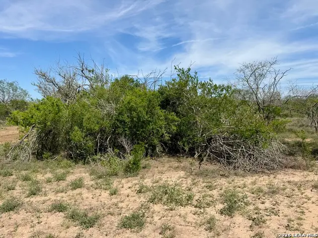 0 County Road 147, George West, TX 78022 - #2