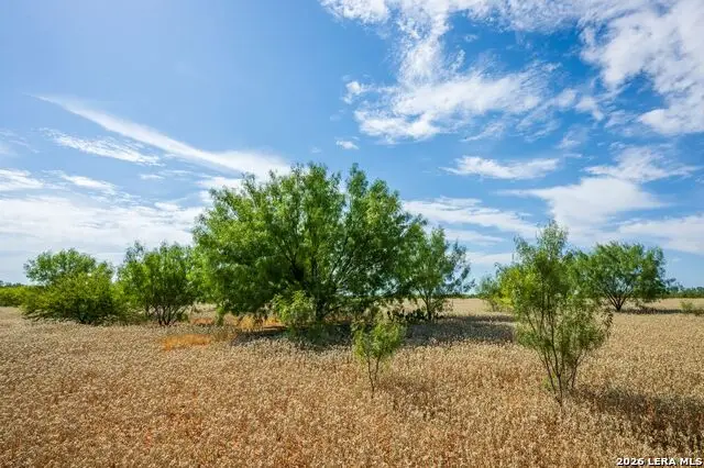 FM2200 2200, Yancey, TX 78886 - #3