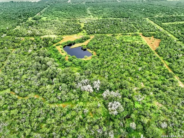 1591 County Road 476, Stockdale, TX 78160 - #3