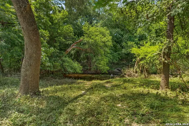 2634 County Road 4713, La Coste, TX 78039 - #2