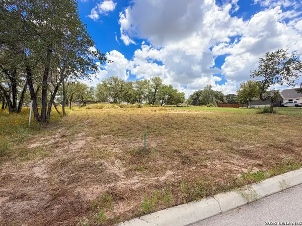 165 Ash Parkway, La Vernia, TX 78121