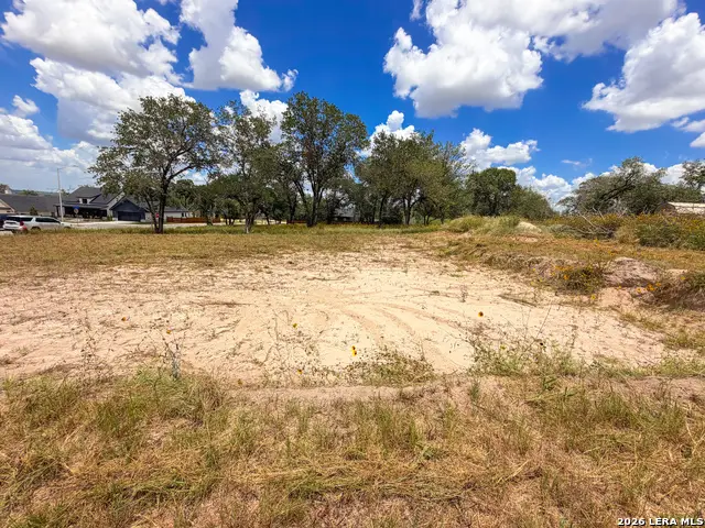 165 Ash Parkway, La Vernia, TX 78121 - #3