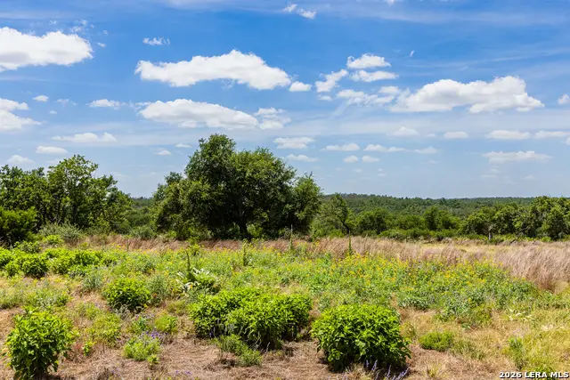 LOT 37 Boot Ranch Circle, Fredericksburg, TX 78624 - #3
