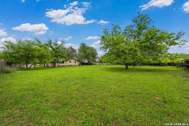 131 W Lower Crabapple Rd, Fredericksburg, TX 78624 - #3